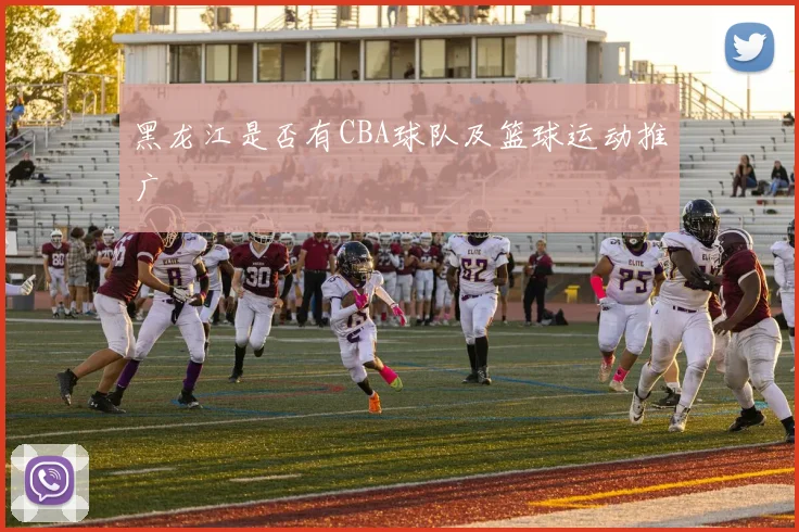 黑龙江是否有CBA球队及篮球运动推广