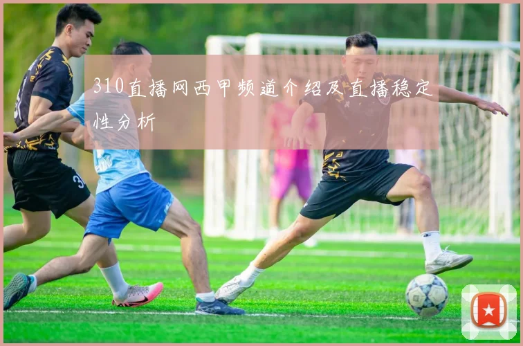 310直播网西甲频道介绍及直播稳定性分析