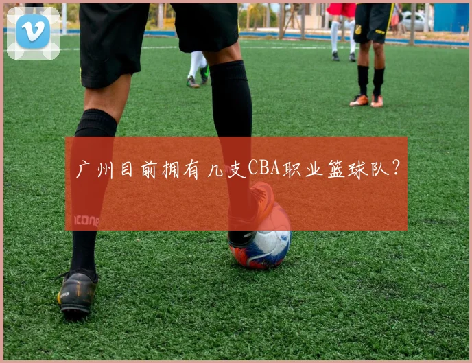 广州目前拥有几支CBA职业篮球队？